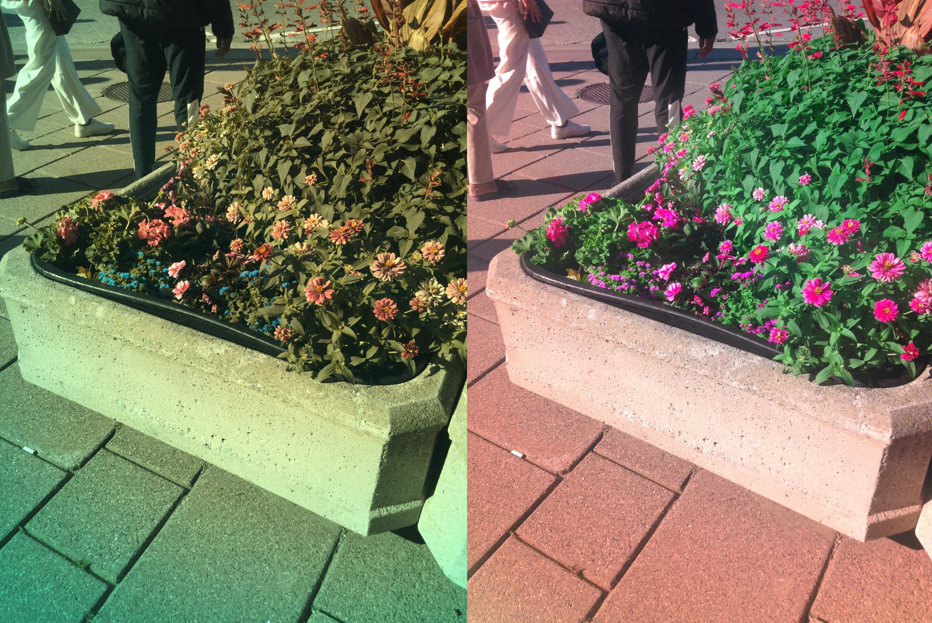 Stereo Exports/imgonline-com-ua-twotoone-35INP9XY4VSH.jpg