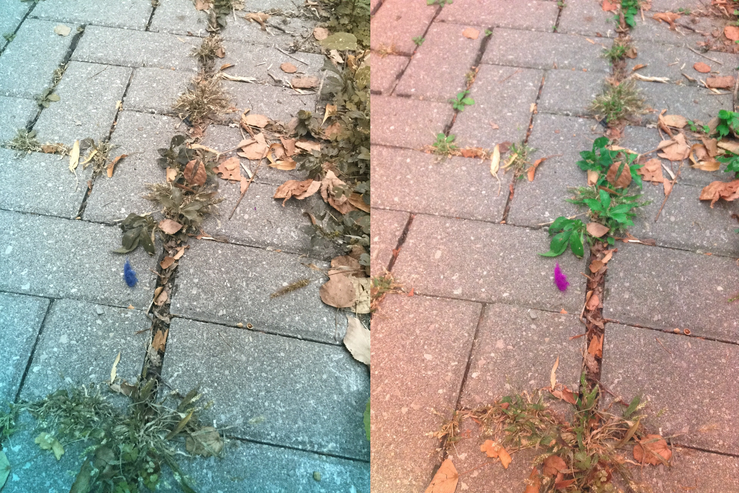 Stereo Exports/imgonline-com-ua-twotoone-3ikSrHAnAx.jpg