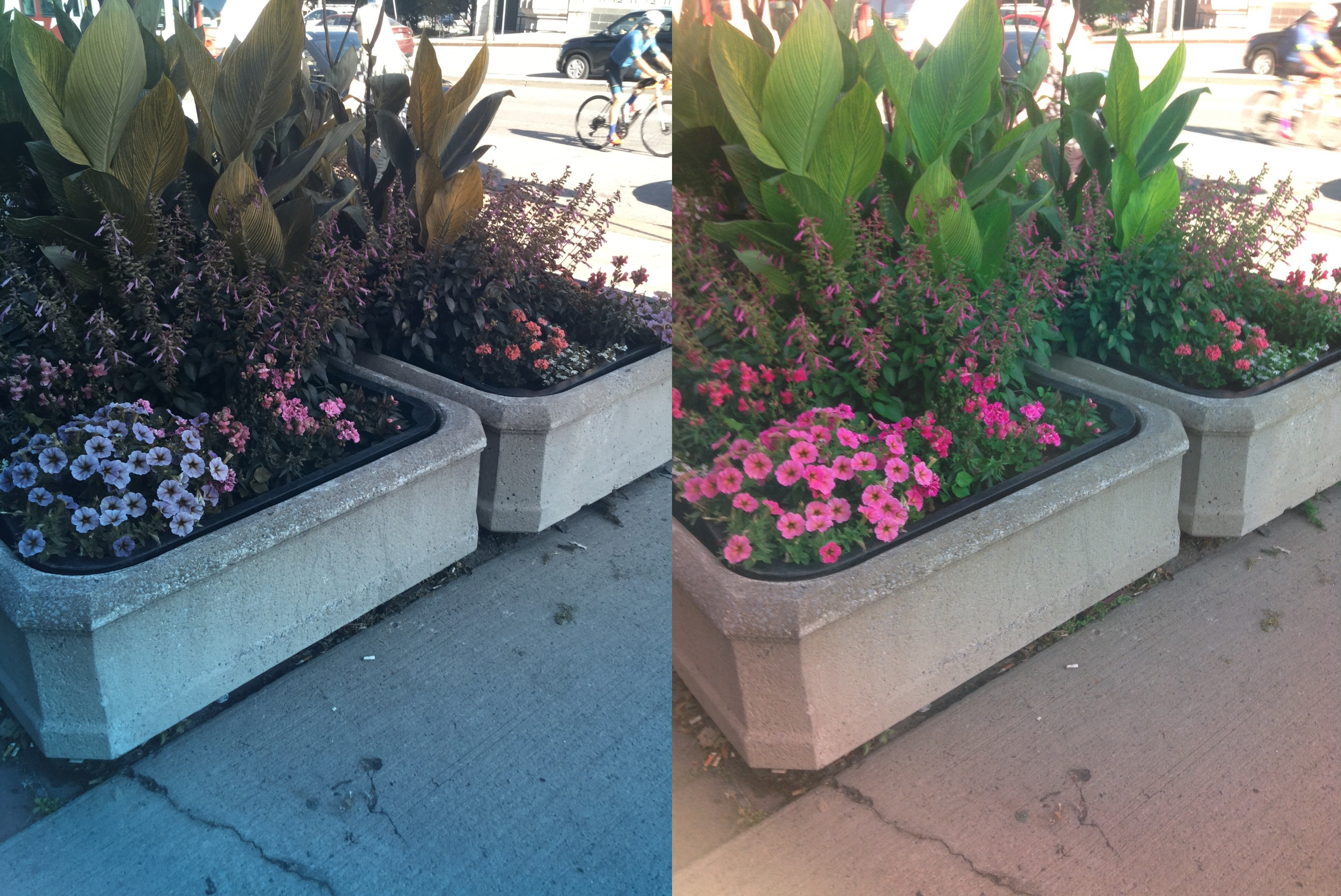 Stereo Exports/imgonline-com-ua-twotoone-4lUSd2rKAUROMby.jpg