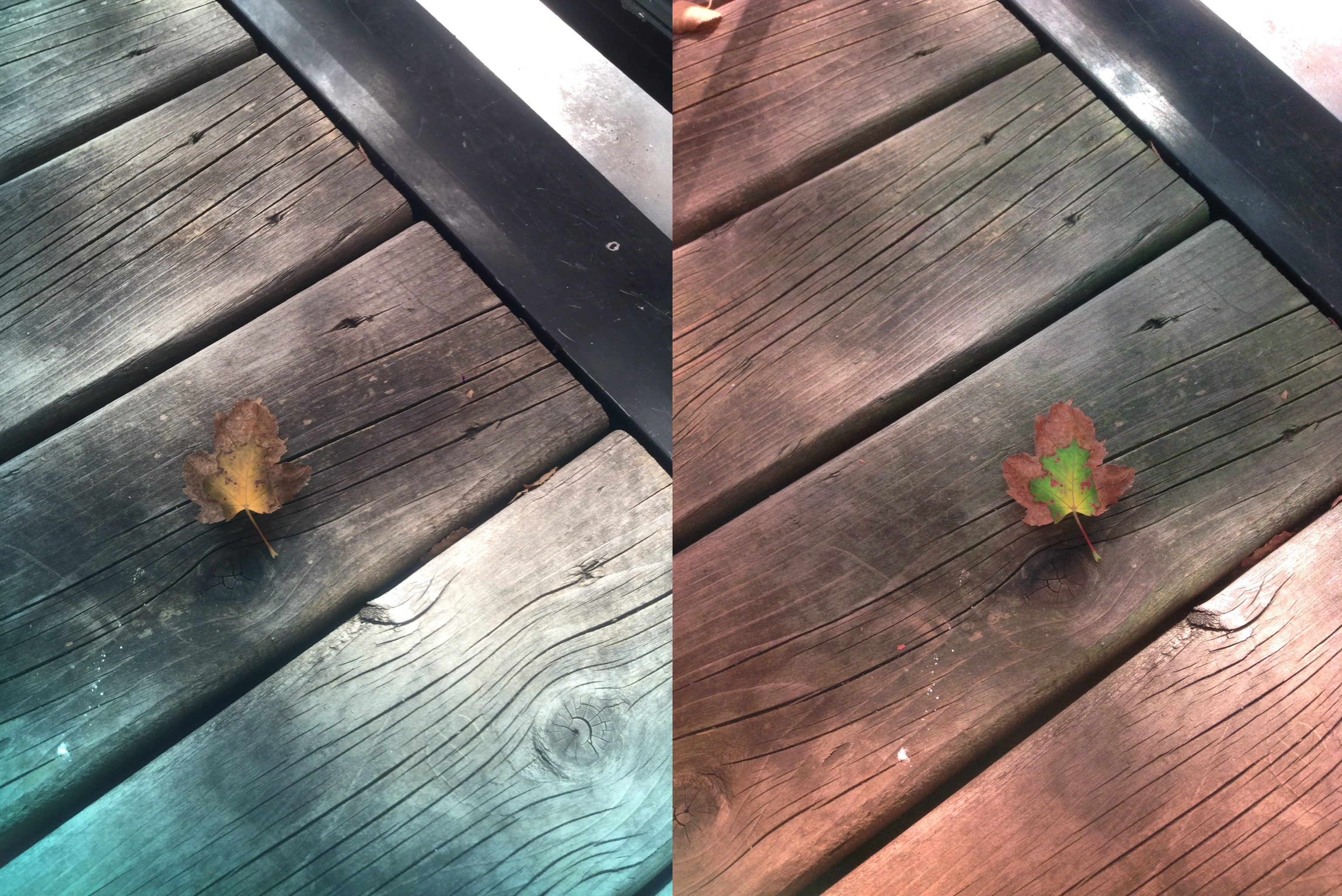 Stereo Exports/imgonline-com-ua-twotoone-8JCq6Sea9CxH0dn.jpg