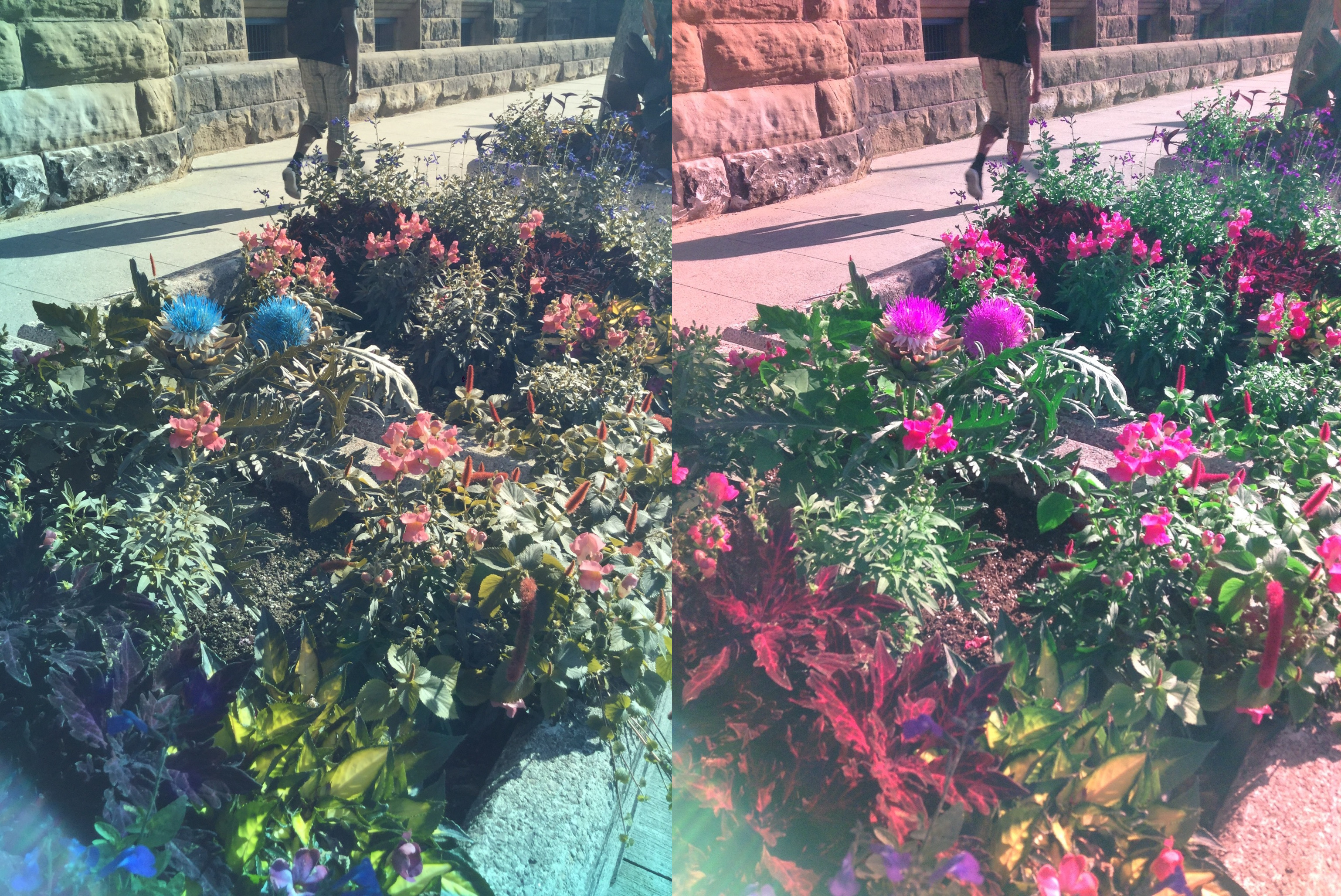 Stereo Exports/imgonline-com-ua-twotoone-FkmBDlWfG4PvIF.jpg