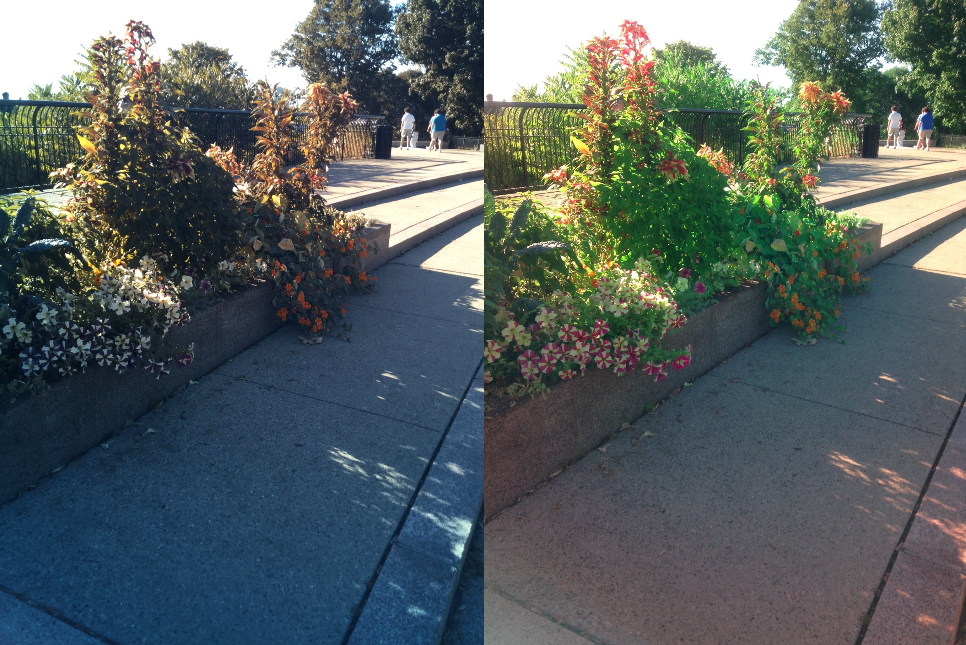 Stereo Exports/imgonline-com-ua-twotoone-Kv4ZOfblOjeAf.jpg