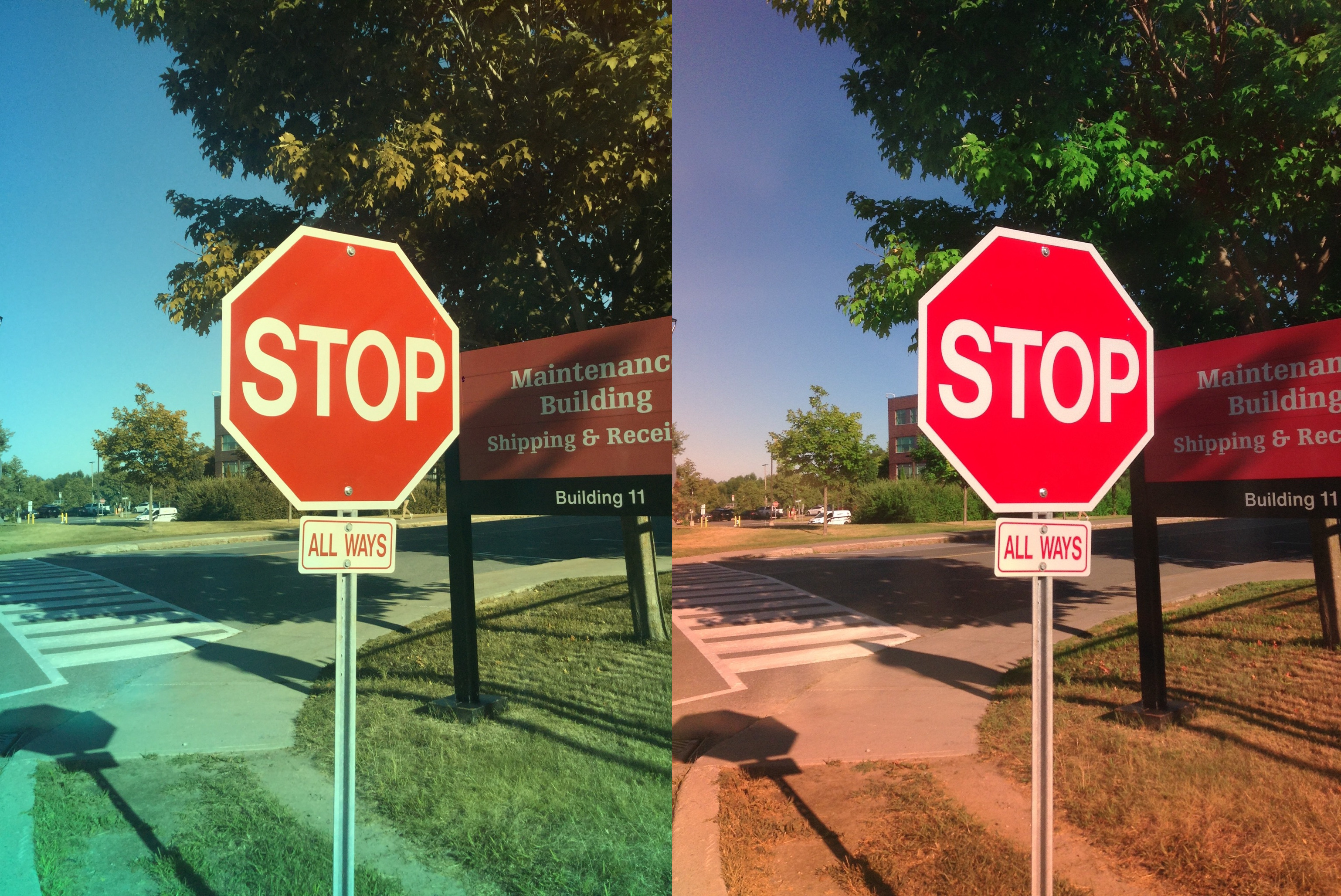 Stereo Exports/imgonline-com-ua-twotoone-QTqCrFk4SClmrx45.jpg