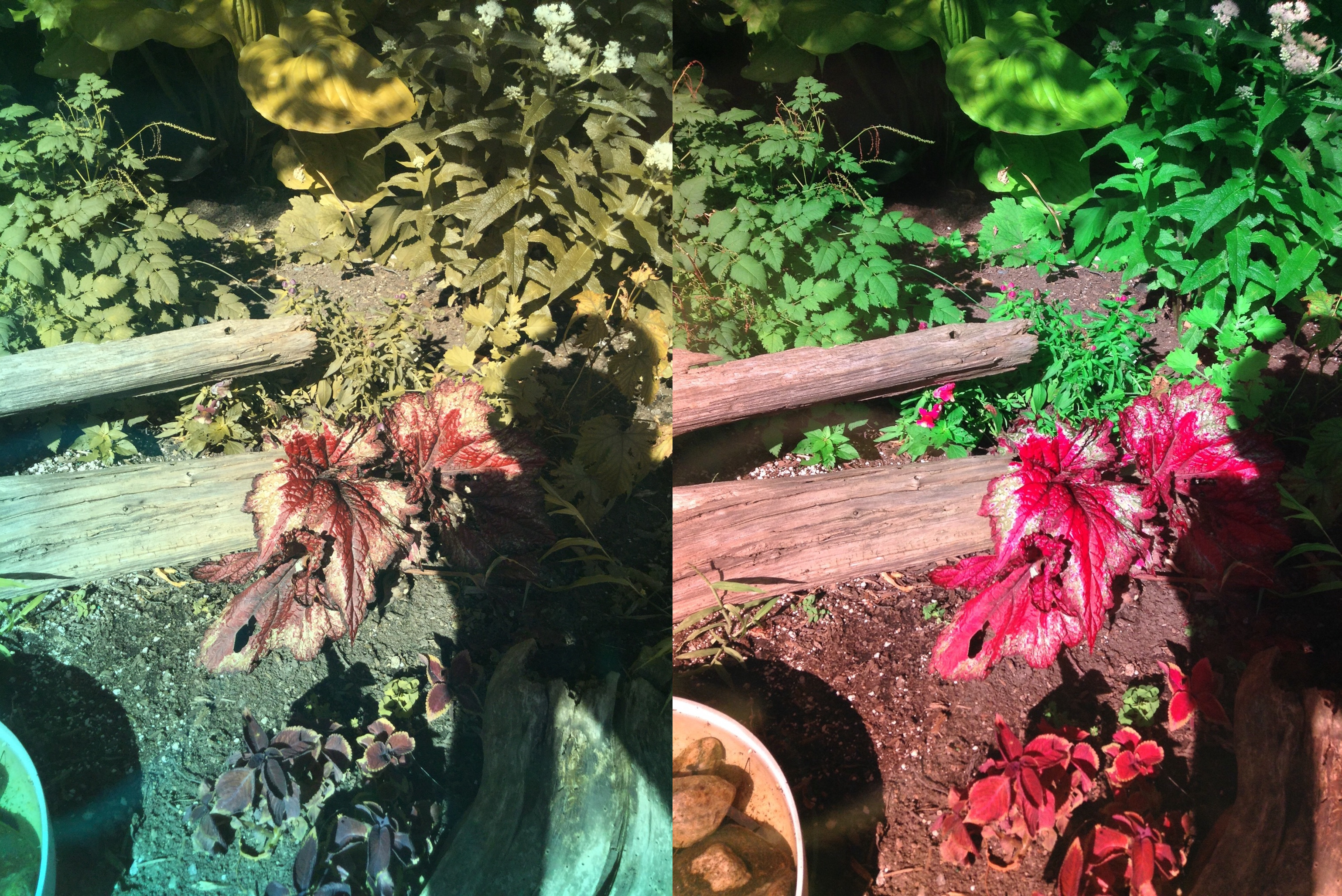 Stereo Exports/imgonline-com-ua-twotoone-TSMAdDFL0wsx.jpg