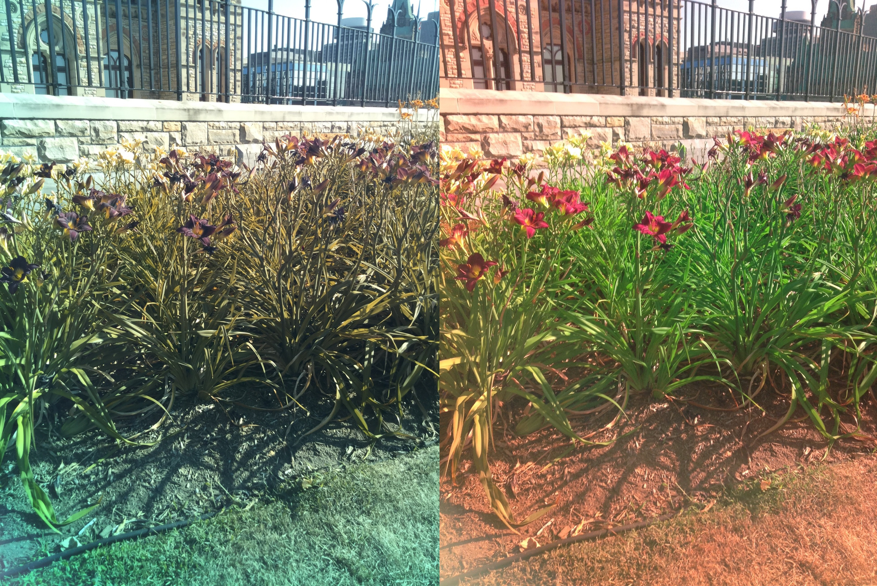 Stereo Exports/imgonline-com-ua-twotoone-WIdOgmr71WpLr.jpg