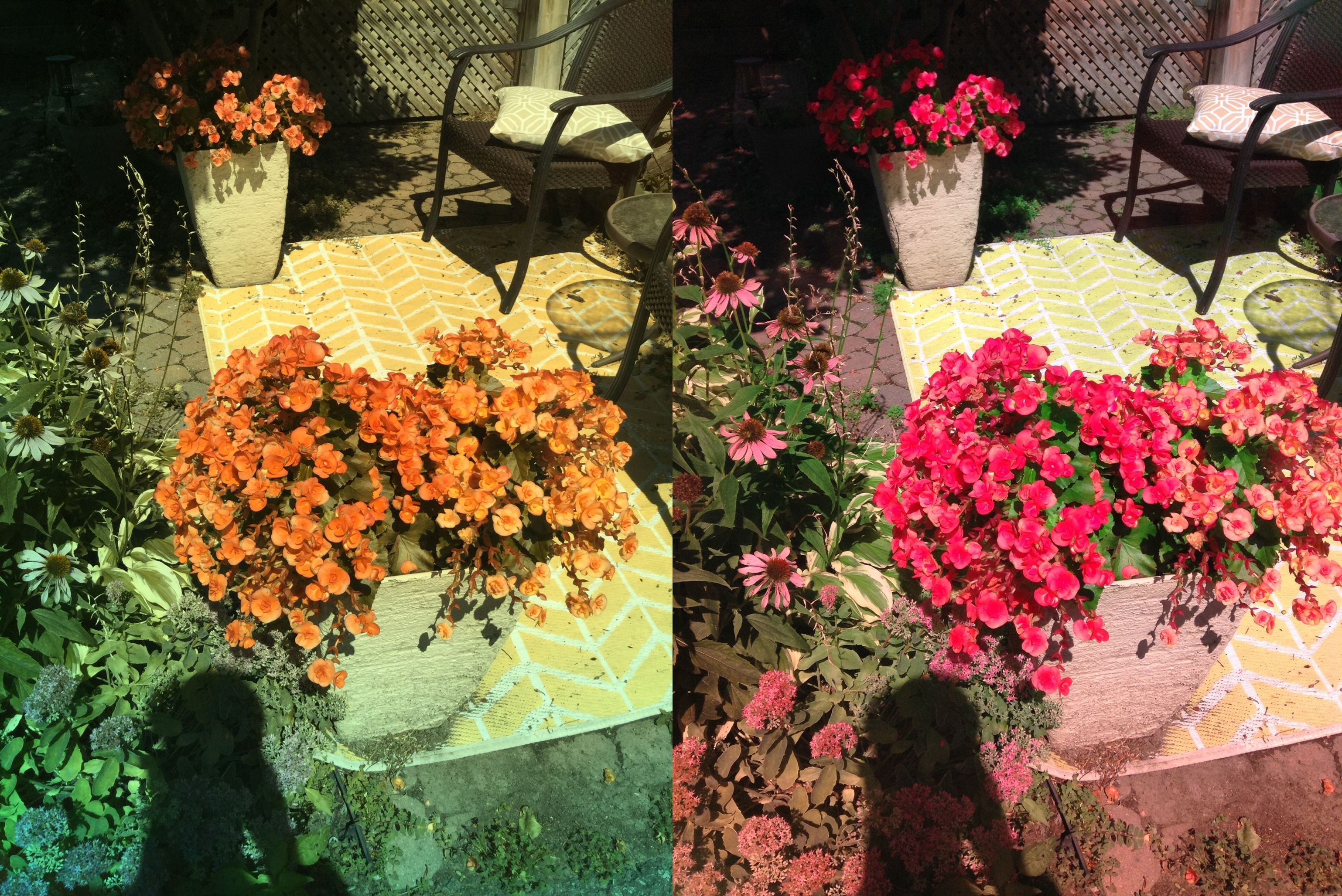 Stereo Exports/imgonline-com-ua-twotoone-XPZAebyN3HSYv.jpg