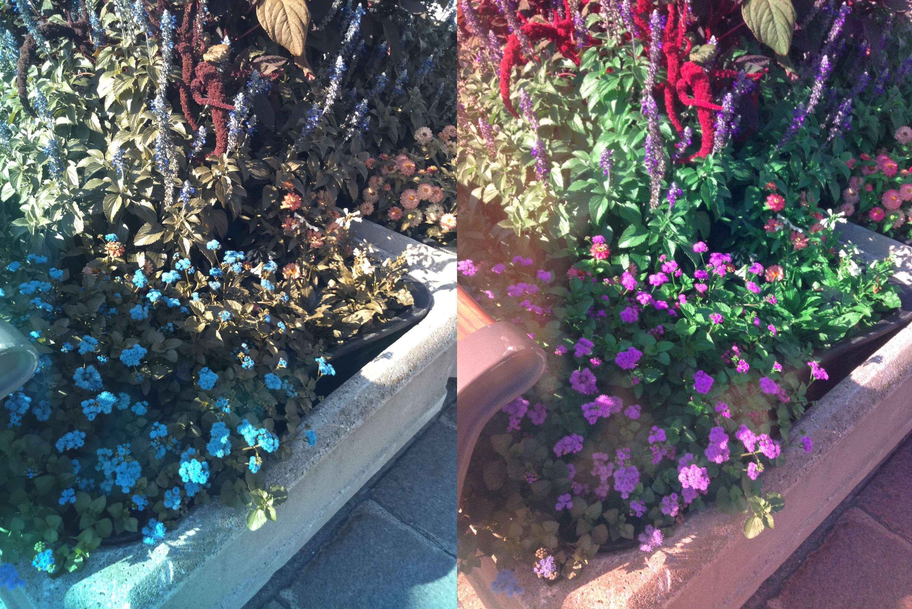 Stereo Exports/imgonline-com-ua-twotoone-dIkoZN3062juFs4.jpg