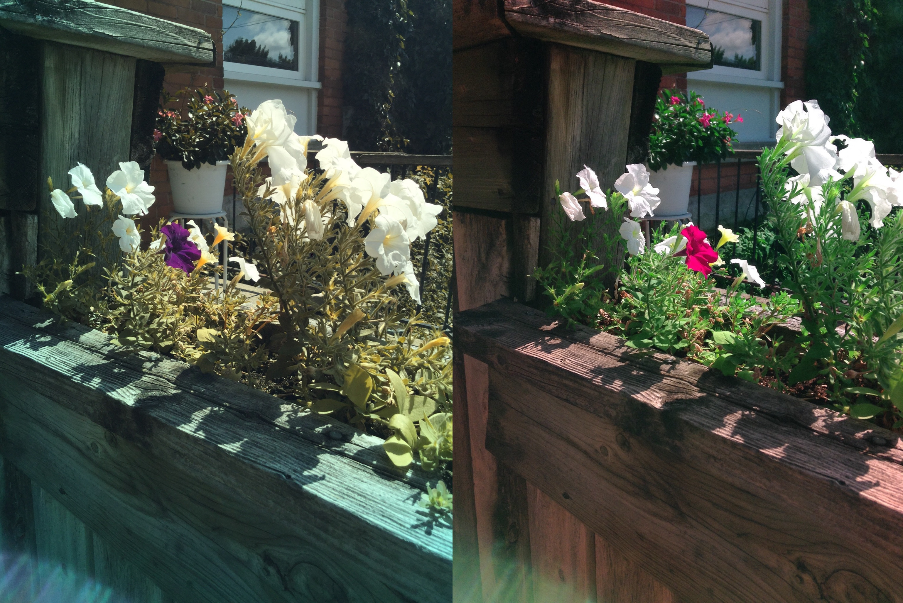 Stereo Exports/imgonline-com-ua-twotoone-fK9Pi0SQZ65E.jpg