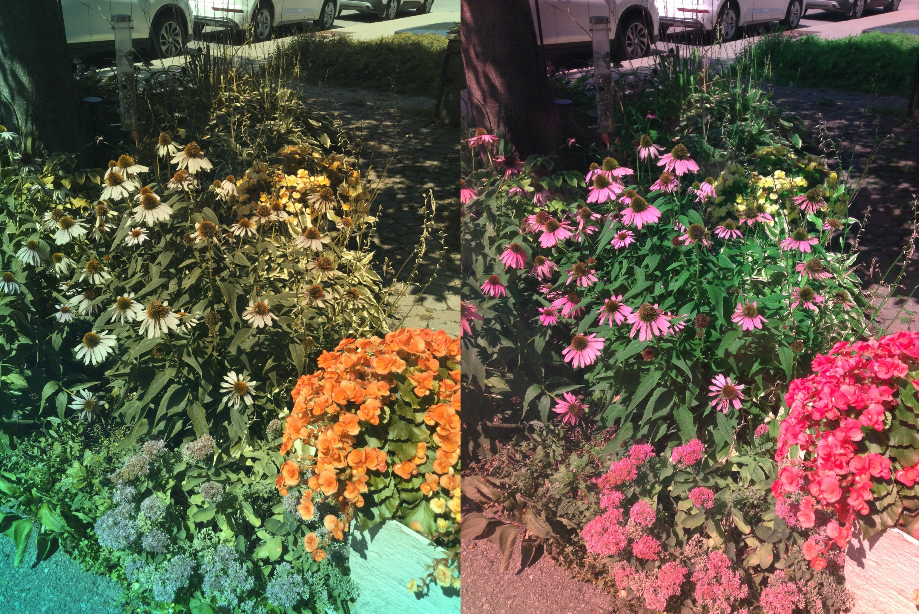 Stereo Exports/imgonline-com-ua-twotoone-gBwYANnKetOQY8W7.jpg