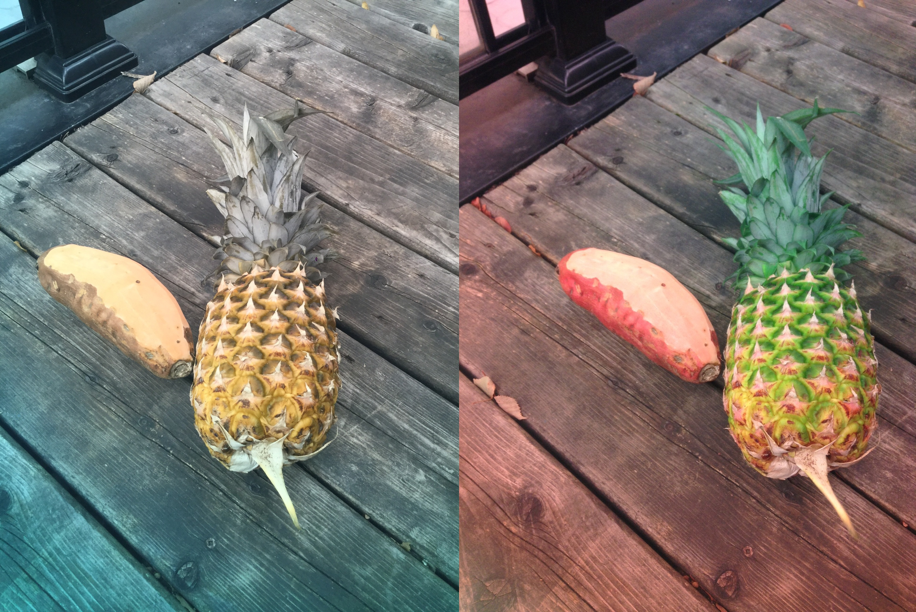 Stereo Exports/imgonline-com-ua-twotoone-gUonL73W7c.jpg