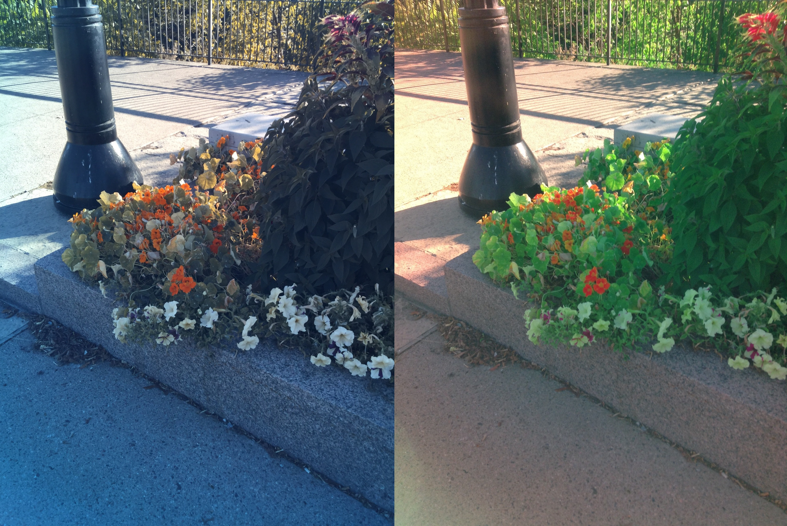 Stereo Exports/imgonline-com-ua-twotoone-hEQOug4EZk0XW4.jpg