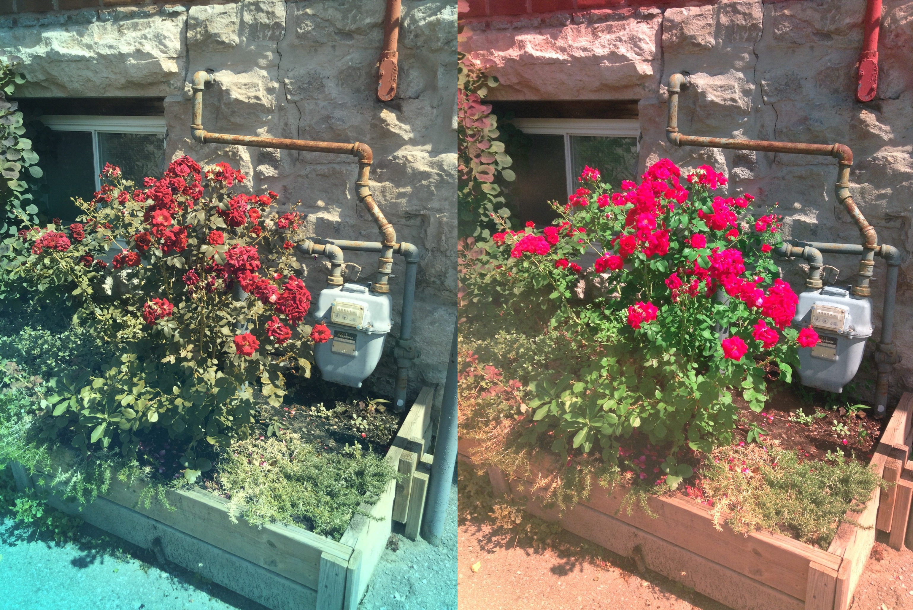 Stereo Exports/imgonline-com-ua-twotoone-kKxLVBq2b60JA.jpg