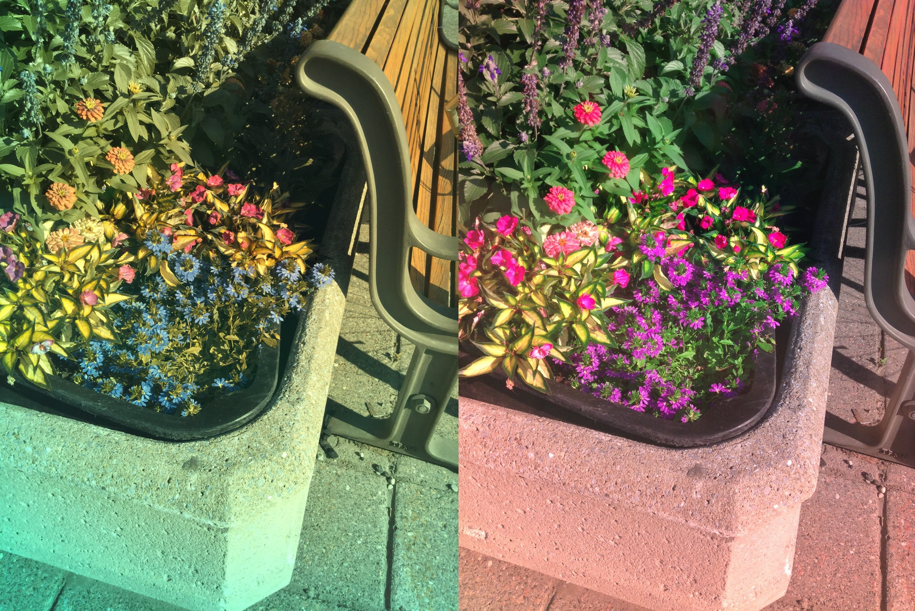 Stereo Exports/imgonline-com-ua-twotoone-lLQwkegxCcJguDX.jpg