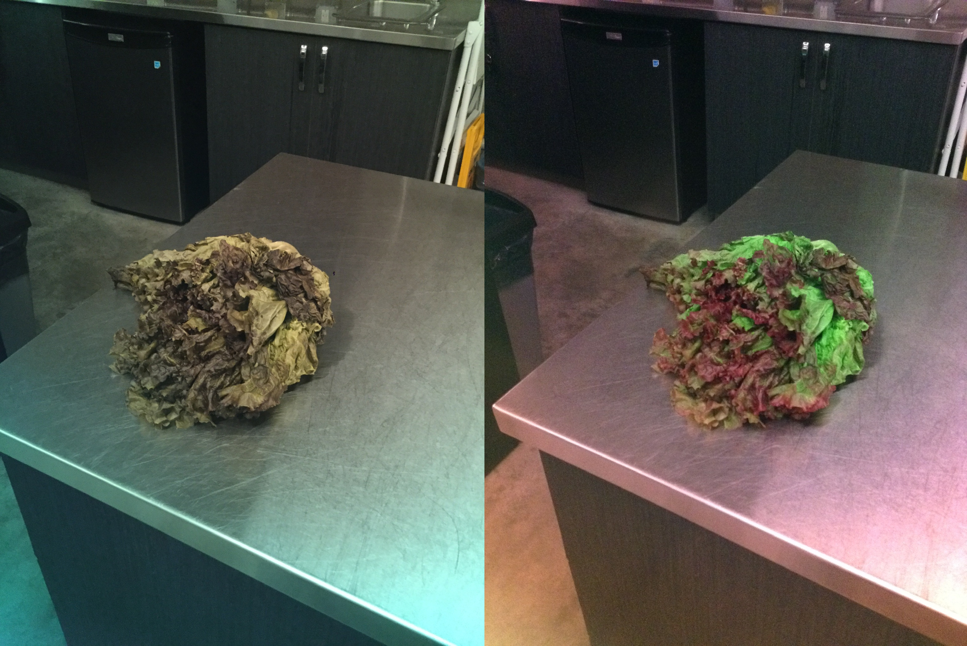 Stereo Exports/imgonline-com-ua-twotoone-mSoRDE1Sq3S04aFk.jpg