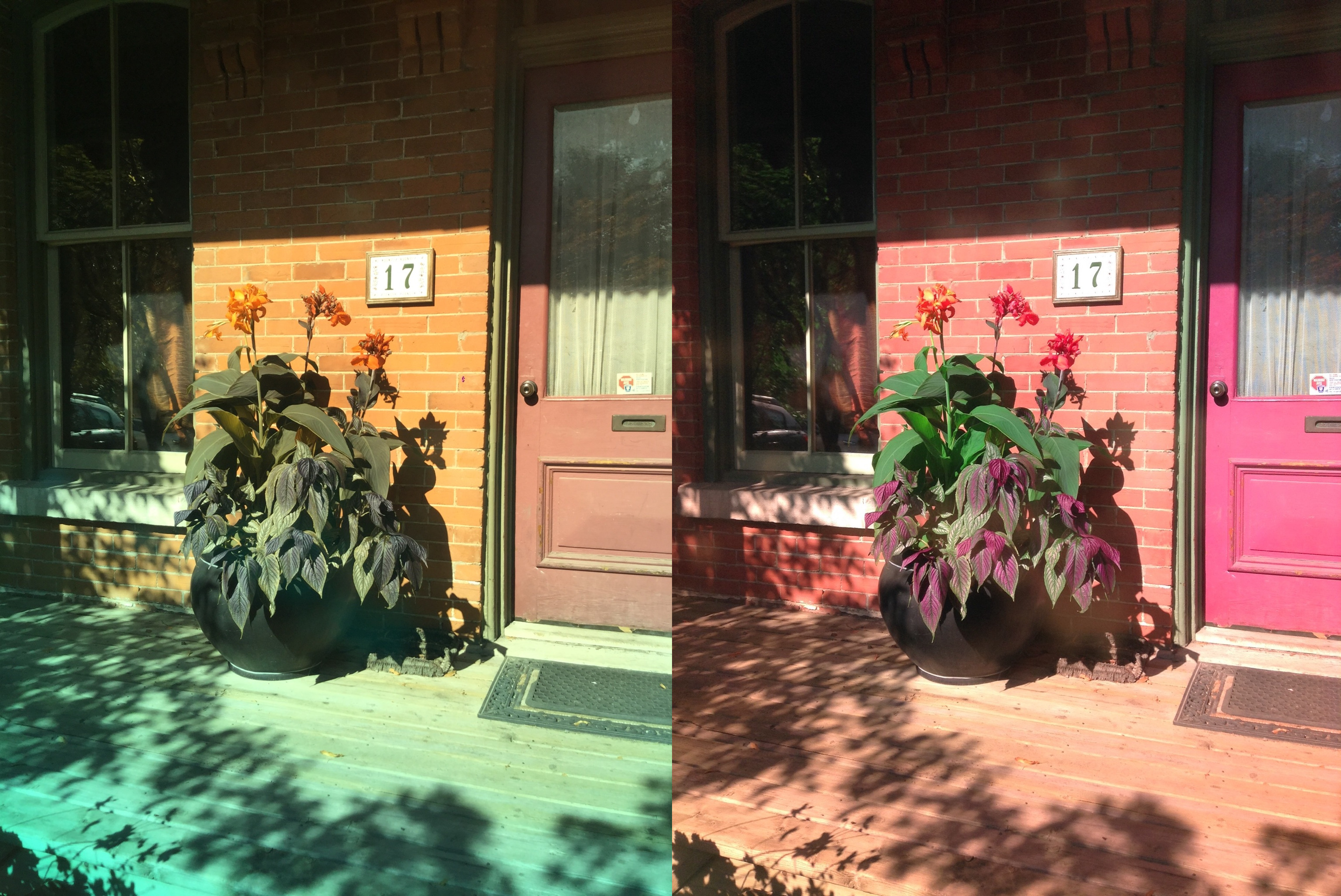 Stereo Exports/imgonline-com-ua-twotoone-nHNXax2nrBXKBOI.jpg