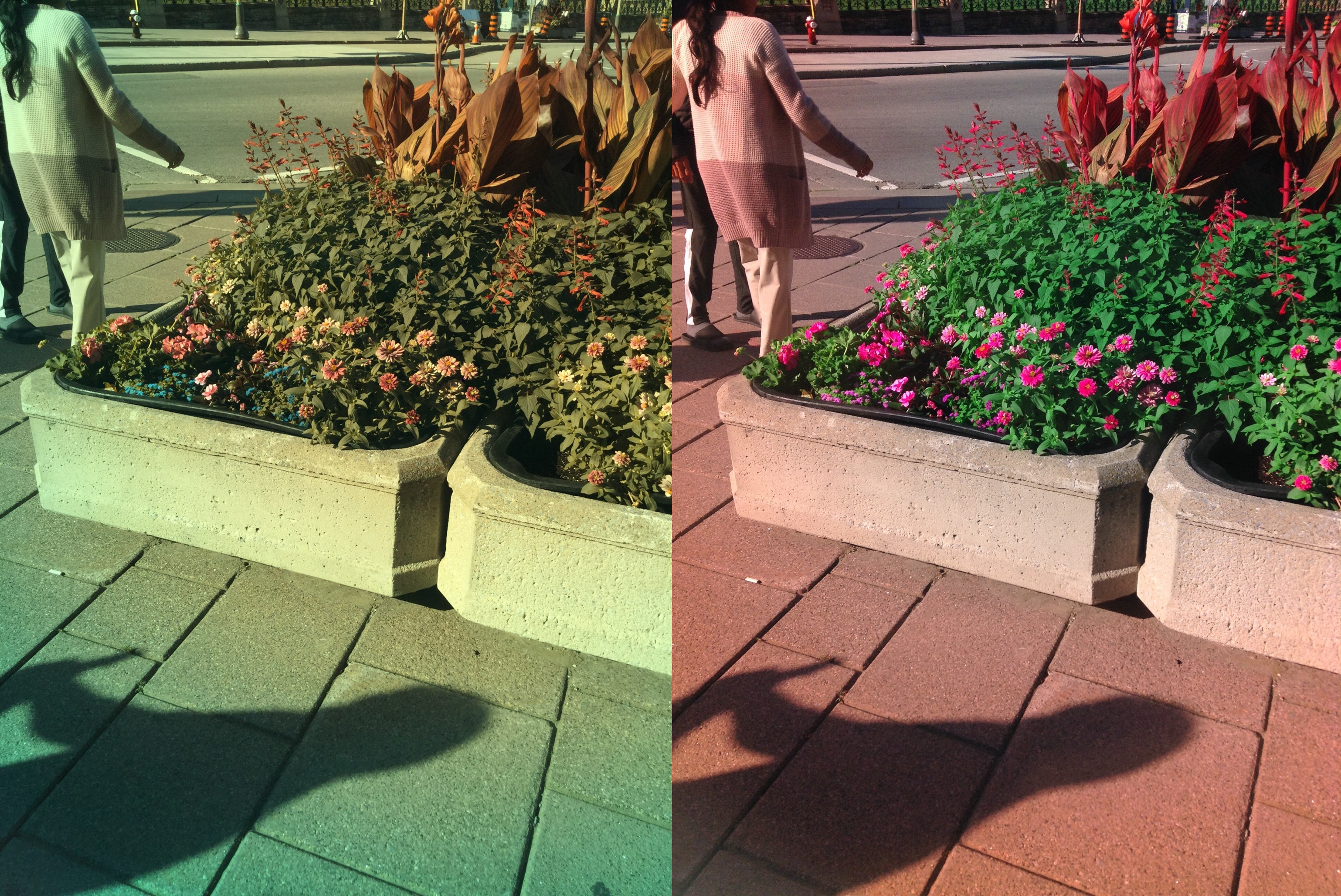 Stereo Exports/imgonline-com-ua-twotoone-rgOZkaebS5Qh.jpg