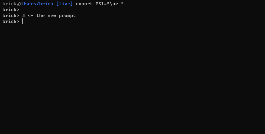 example of a bash prompt