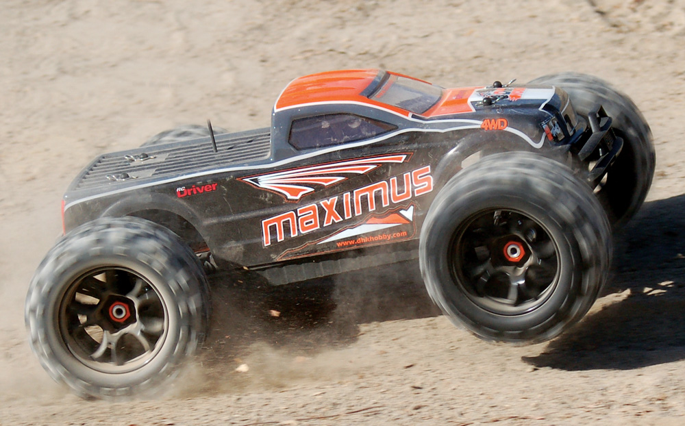 DHK maximus in its natural habitat