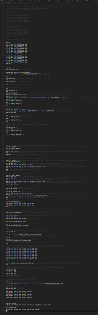long screenshot of assembly language